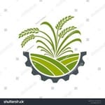 THE SADASHIV FARMER PRODUCER COOPERATIVE SOCIETY THE SADASHIV FARMER PRODUCER COOPERATIVE SOCIETY
