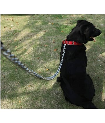 Dog Belt Combo of  Dog Collar Belt with Dog Chain Specially for all Dogs  Lengthy Dog Collar & Chain  (color may vary)
