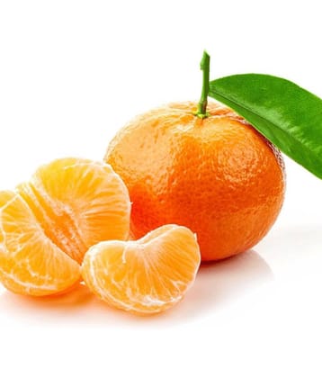 Kinnow Mandarin Tree Fruit 10 Seeds Citrus Tree Seeds Good germination Seeds