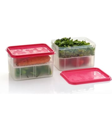 iview kitchenware Vegetable AND Fruit Plastic Pink Food Container ( Set of 2 )