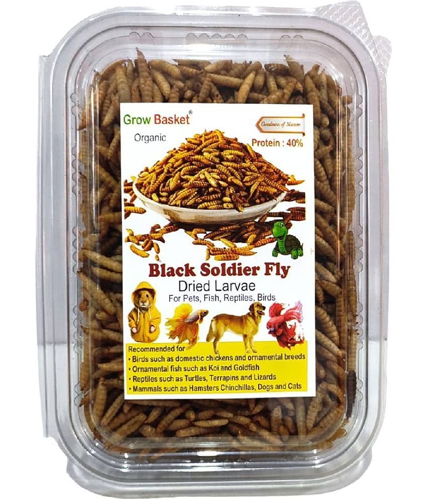 Dried Black Soldier Fly Larvae - 100% Natural, Protein Rich Fish Food for Arowana, Flower Horn, Oscar, Fighter, Angelfish, Molly, Koi, Cichlids, Tetra, Discus, Red tail All Life Stages All Big Ornamental Fishes 40% Protein Larvae BSF