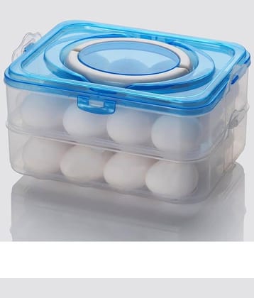 Anshri Plastic White Egg Container ( Set of 1 )