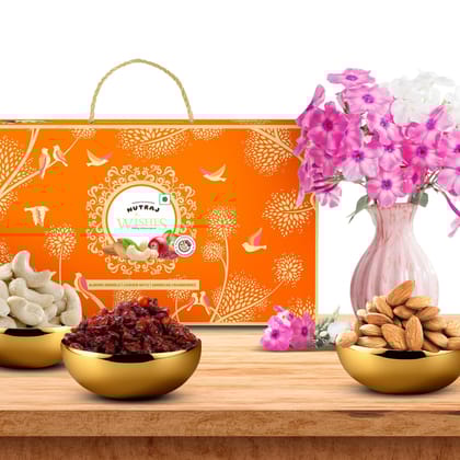 Nutraj Wishes Birds of Bliss Diwali Gift Box 300g | GB-154