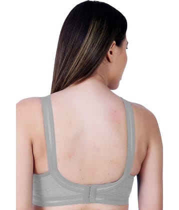 Ladyland Pack of 1 Cotton Blend Non Padded Everyday Bra For Women ( Light Grey )