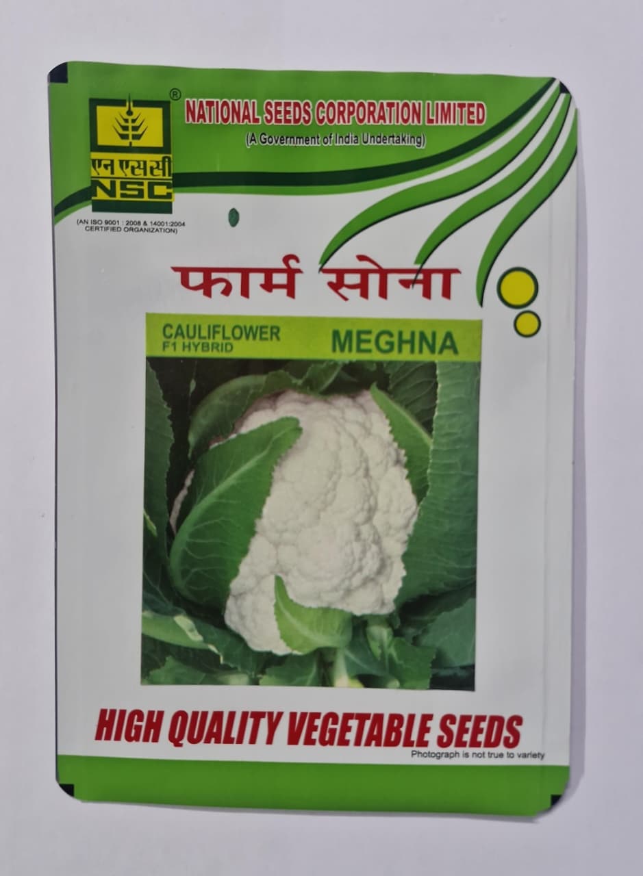 Cauliflower F1 Hybrid - Meghna, 10 gm