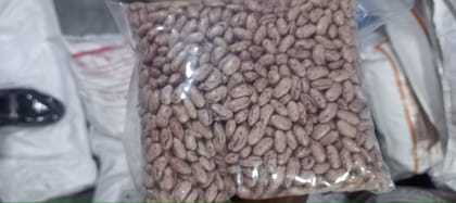 Rajma 