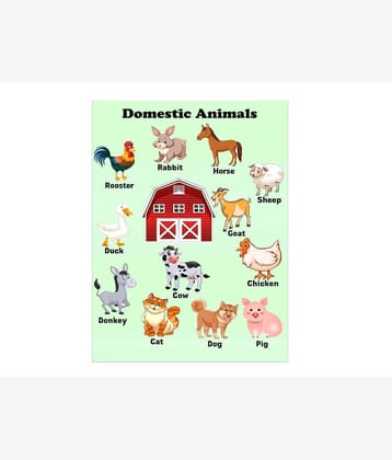 Photojaanic Posters for Kids Learning | Kids Posters | Posters for Kids Learning, Kindergarten | "Domestic Animals Chart" | Multicolor Posters | Nursery and Homeschooling