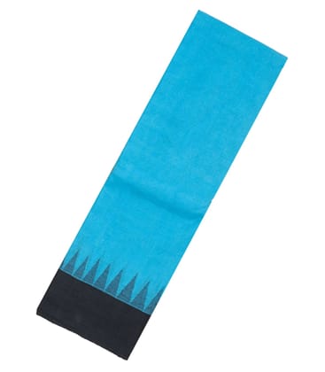 Sky Blue Handloom Rasipuram Cotton Saree With Contrast Border-RA2385-Sky Blue