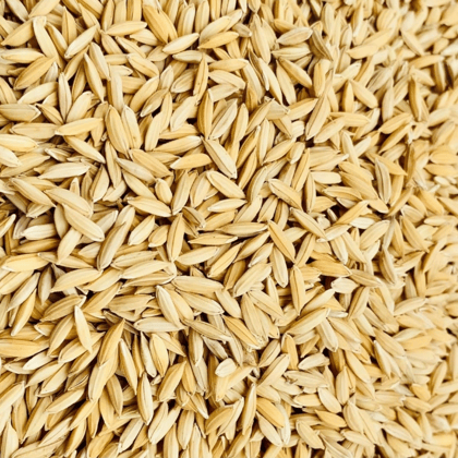 Brown rice