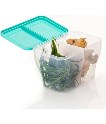 iview kitchenware Dal/Masala/Vegetable Plastic Sea Green Multi-Purpose Container ( Set of 1 )