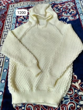 Hoodie White colour