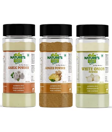 Natures Gift - 250 gm Onion Powder (Pack of 3)