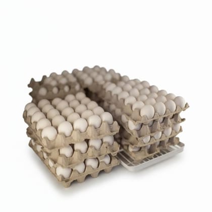 Fresh White Eggs - 100 gm - One tray of eggs