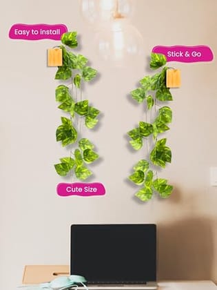 Wall Planter with Artificial Money Plant | Eco-Friendly Hanging Wall Décor for Living Room, Office, Kitchen & Home