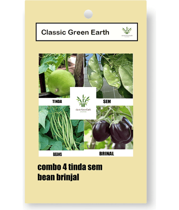 CLASSIC GREEN EARTH - Vegetable Seeds ( COMBO OF TINDA SEM BEENS BINJAL 50 SEEDS )