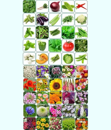 Aero Seeds Combo Pack Of 25 Varieties Flower Seeds 25 Varieties Vegetable Seeds