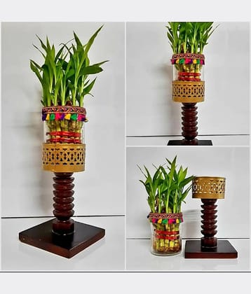 R.R.V. International Indoor Bamboo Plant ( Pack of 1 )