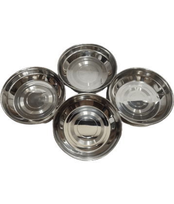 Dynore 4 Pcs Stainless Steel Silver Dessert Plate