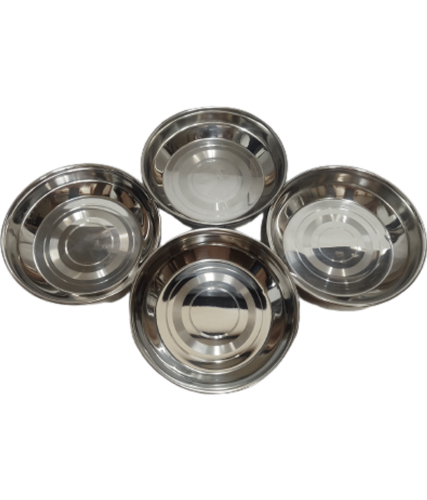 Dynore 4 Pcs Stainless Steel Silver Dessert Plate