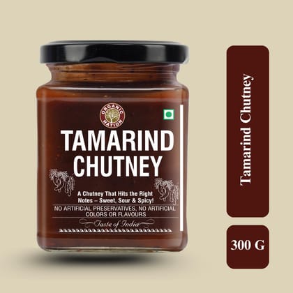 Organic Nation Tamarind Chutney 300g | Sweet & Tangy Indian Dip | Natural Ingredients | No Preservatives | Imli ki Chutney