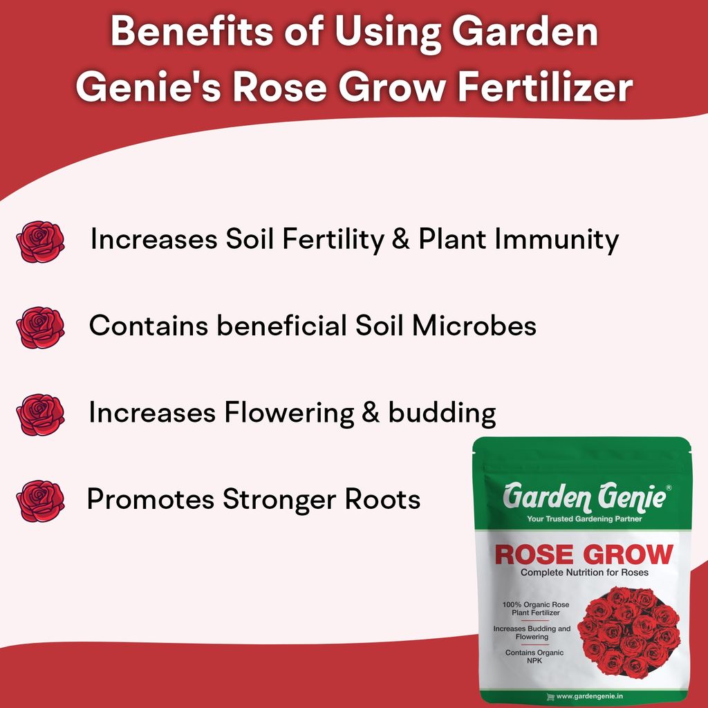 Garden Genie Rose Grow 800 Gm | Organic Plant Food Fertilizer Powder For Rose Plants | Promotes Growth, Flowering, Vibrant Blooms | Rich In Essential Nutrients
