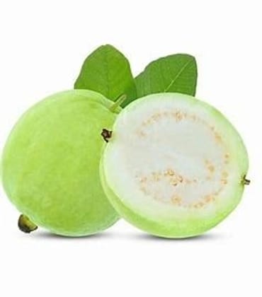 Fresh Big White Guava (Juicy & Vitamin C Rich) 500 gm