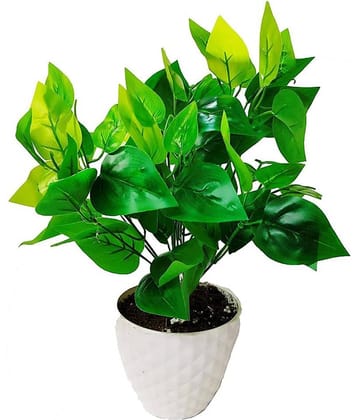 Green plant indoor Artificial Money Plants Multicolour Bonsai Plastic - Pack of 1