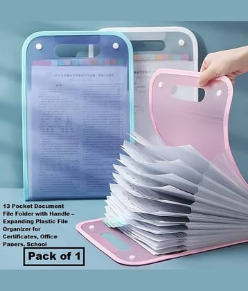 Multi Deal 13 Pocket Document File Folder with Handle – Expanding Plastic File Organizer for Certificates, Office Papers, School Assignments and Travel Documents - Pack of 1
