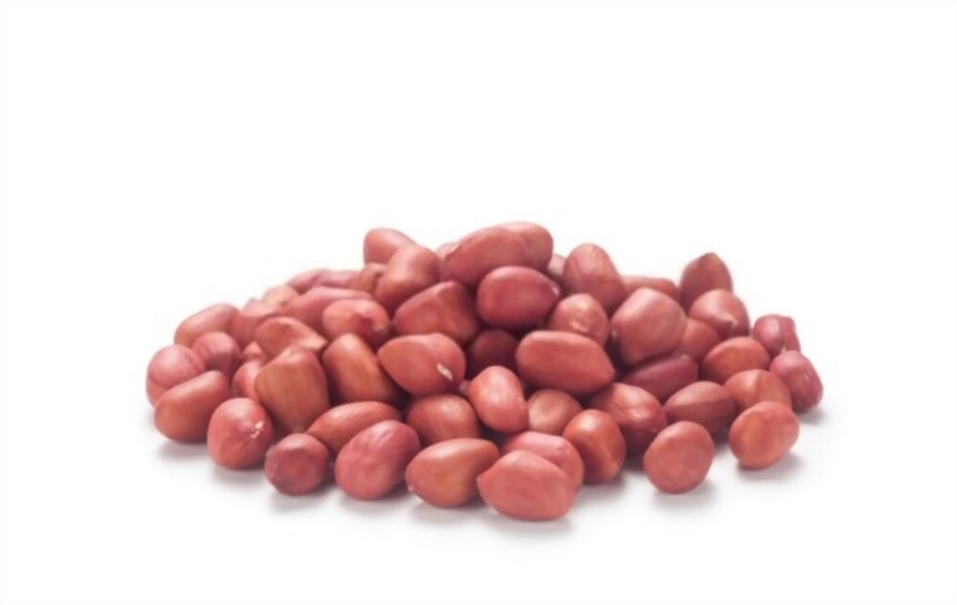 Groundnut