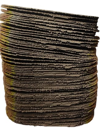 EcoFriendly Disposable Paper Plates 500 Pack