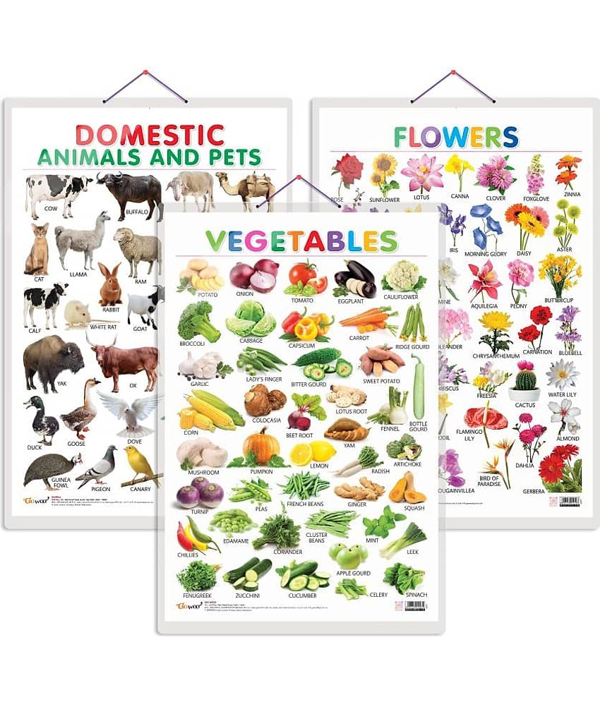 Set of 3 Vegetables, Domestic Animals and Pets and Flowers Early Learning Educational Charts for Kids | 20"X30" inch |Non-Tearable and Waterproof | Double Sided Laminated | Perfect for Homeschooling, Kindergarten and Nursery Students