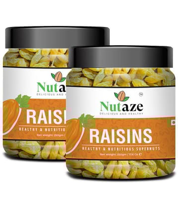 Nutaze Premium Raisins 500g (250g x 2)  | Rare Indian Raisins | Natural Sun Dried | 100% Authentic | 100% Natural