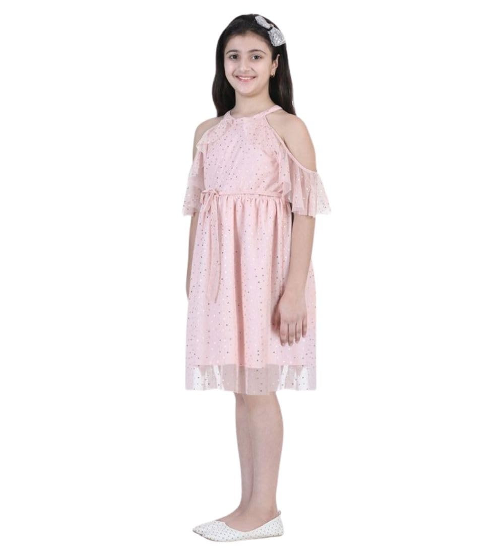Girl's Net Printed Sleeveless Dress (Blush Pink, 6-7-Yrs)-PID66037