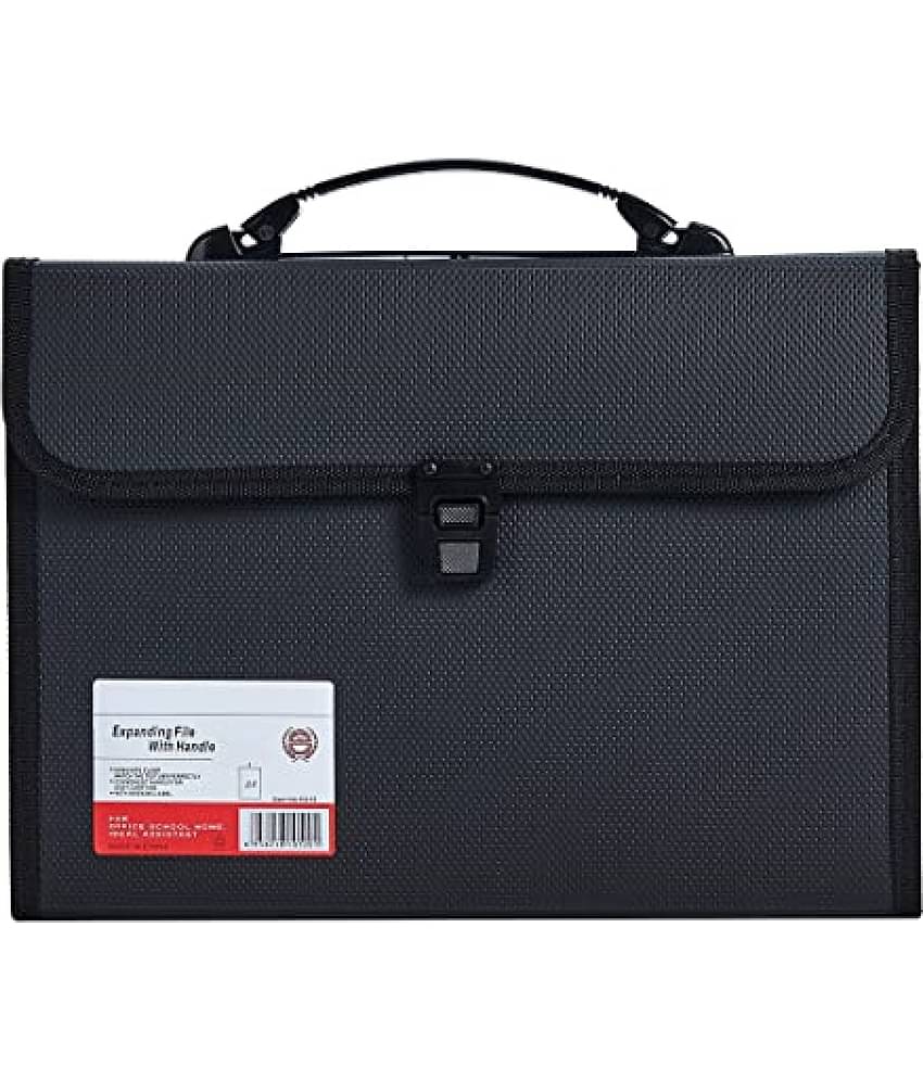 13 Pocket Accordian File Organizer Expanding File Folder for FC A4 Paper, Briefcase File Case with Durable Handle & Buckle Closure for School Home Business (Black)