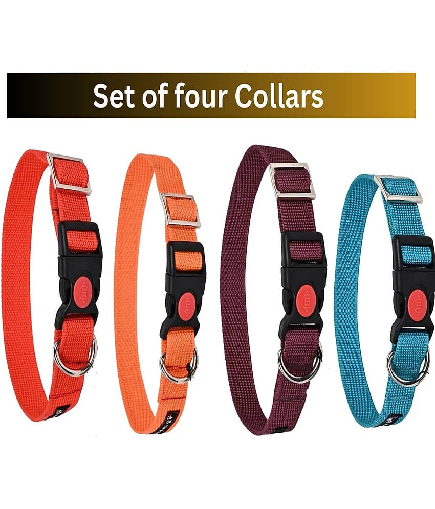 GNS PETS Multicolor Collar ( 45 - 66 cm )