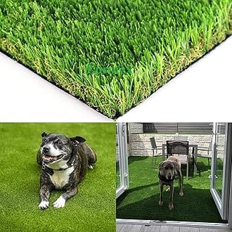 Eurotex 35MM Artificial Grass Carpet Mat for Balcony, Lawn, Door, Soft Comfortable (PE & PP, Natural Green, 6.5x3 Feet)