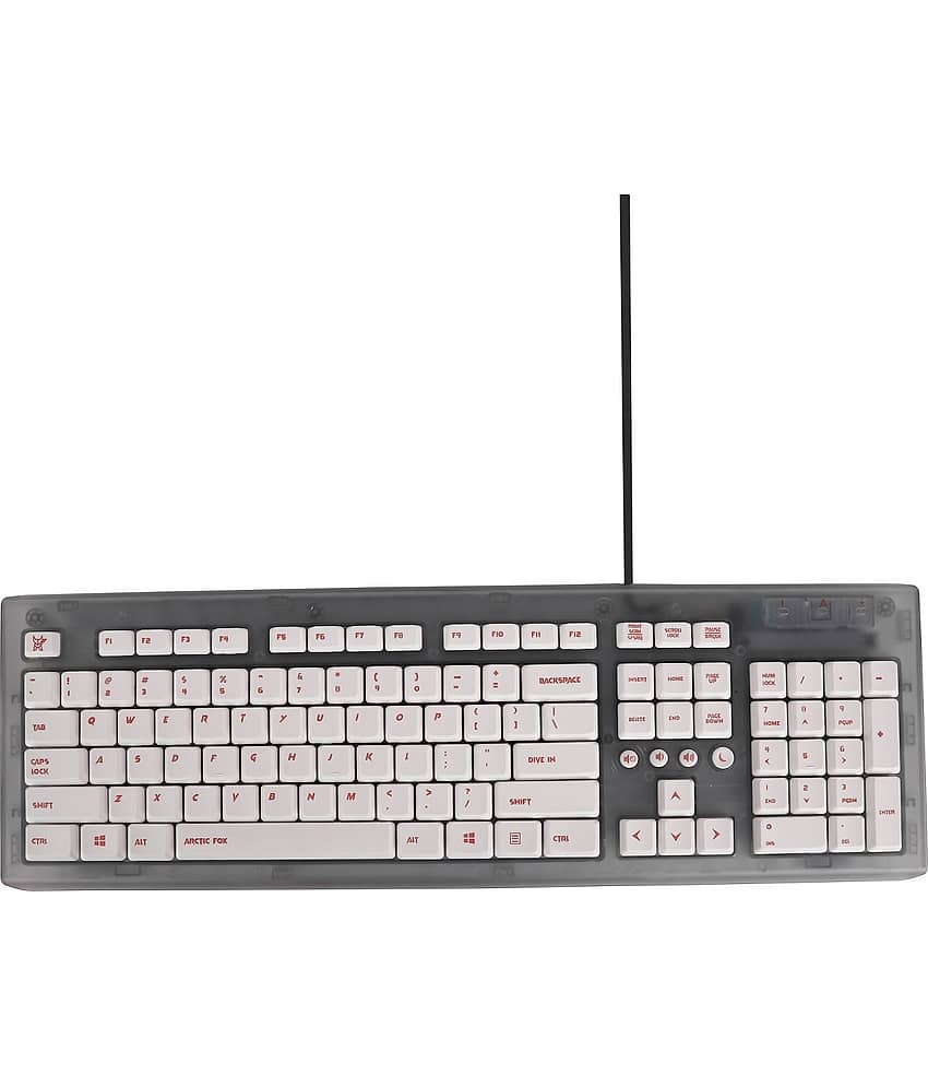 Arctic Fox Grey USB Wired Desktop Keyboard