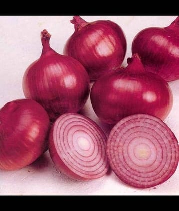Infintegreen Onion Vegetable ( 100 Seeds )