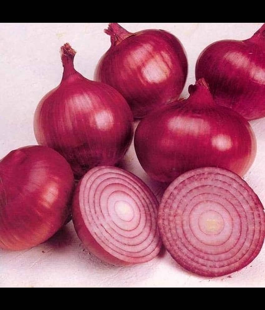 Infintegreen Onion Vegetable ( 100 Seeds )