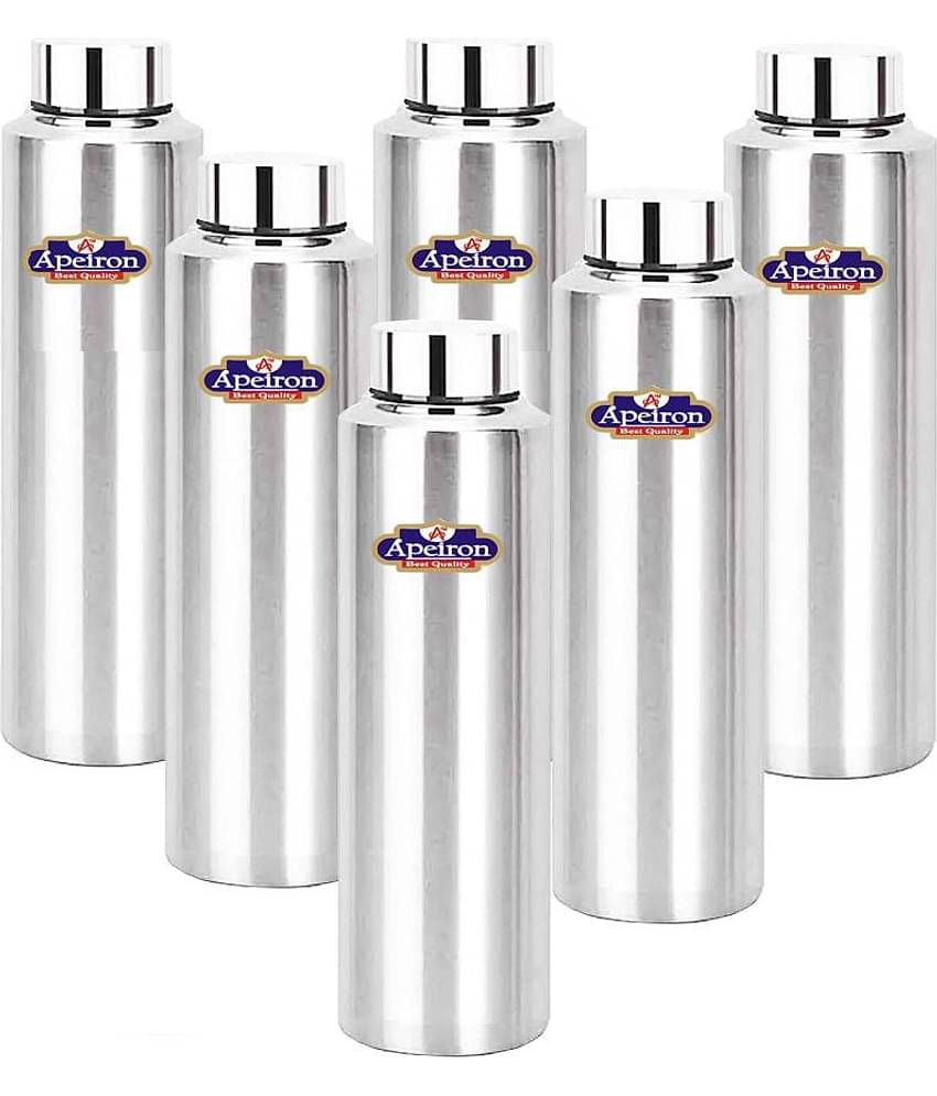 APEIRON Matt Fridge Bottle pk 6 Silver 1000 mL Stainless Steel Fridge Bottle set of 6