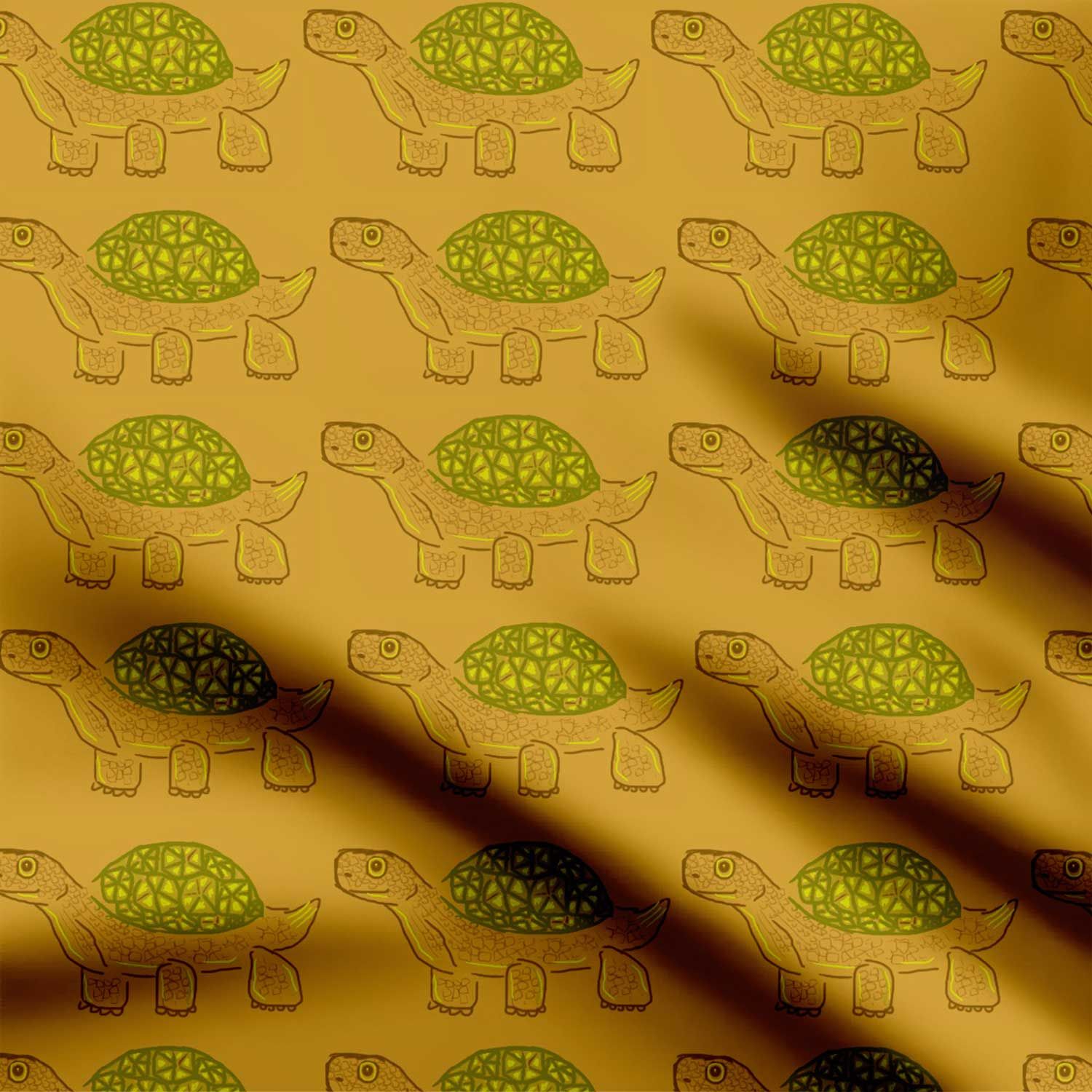 Turtle to tortoise-Cotton