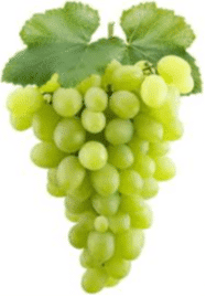 Grapes