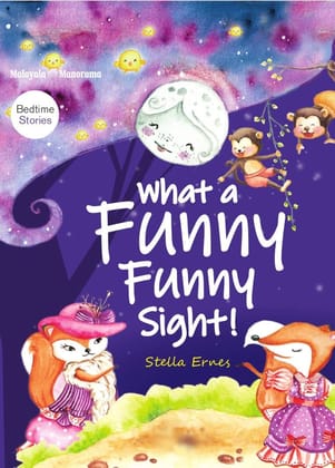 What a Funny Funny Sight [Hardcover] Stella Ernes