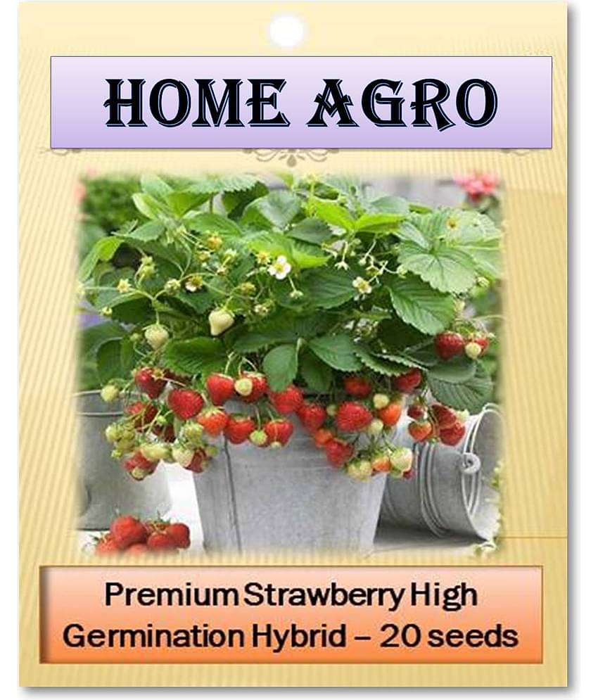 HN organic seed - Fruit Seeds ( 20 )