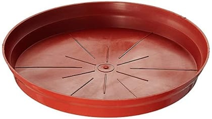 Plastic Plates for planters-8 Inch / Pack of 6 / Brown