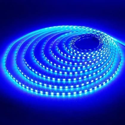 SPARKWORLD 240 LEDs 5 m Blue Steady Strip Rice Lights (Pack of 3)