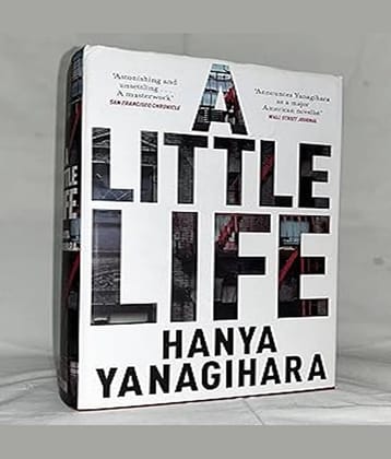 Little Life: The Million-Copy Bestseller Paperback – 25 June 2020