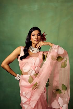 Blush Pink Pure Organza Hand-Painted Saree with White Floral Motifs & Sequins | With Modal Satin Blouse-Regular