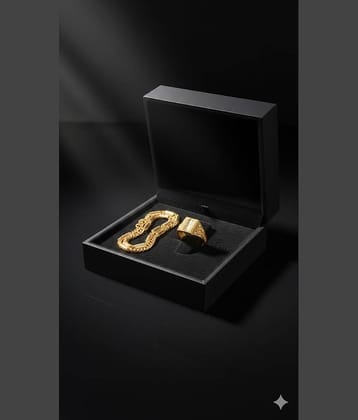 Abrexo Gold Plated Chain ( Set of 2 )