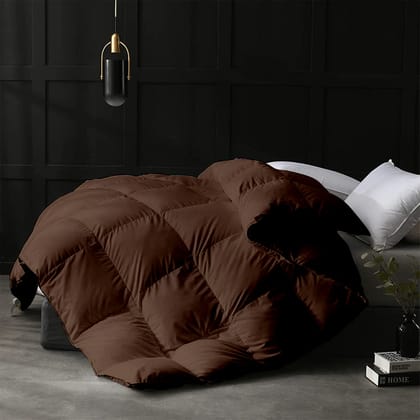 Razzai 500 GSM Winter Comforter Premium Collection Quilted Comforter |Chocolate Brown|Microfiber|lightweight-Single / Chocolate